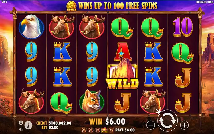 Auman Raja Padang Rumput Penuh Gengsi Dari Buffalo King